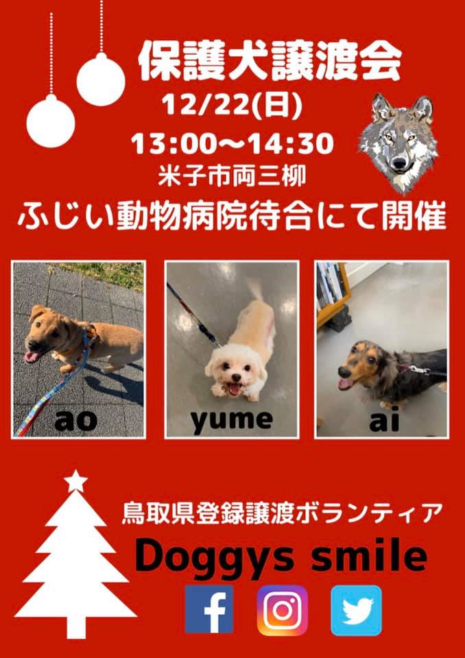 犬 会 保護 譲渡 東京にある保護犬の譲渡会を主催している団体まとめ