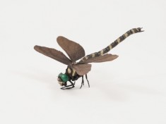 《自在鬼蜻蜓》（じざいおにやんま）　2020年　銅、真鍮、青銅　11.5x12.0x4.0(cm)